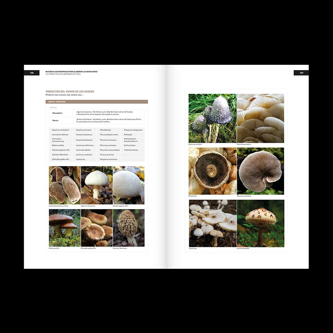 Diseño editorial para Bullipedia: La enciclopedia gastronómica. elBullifoundation.