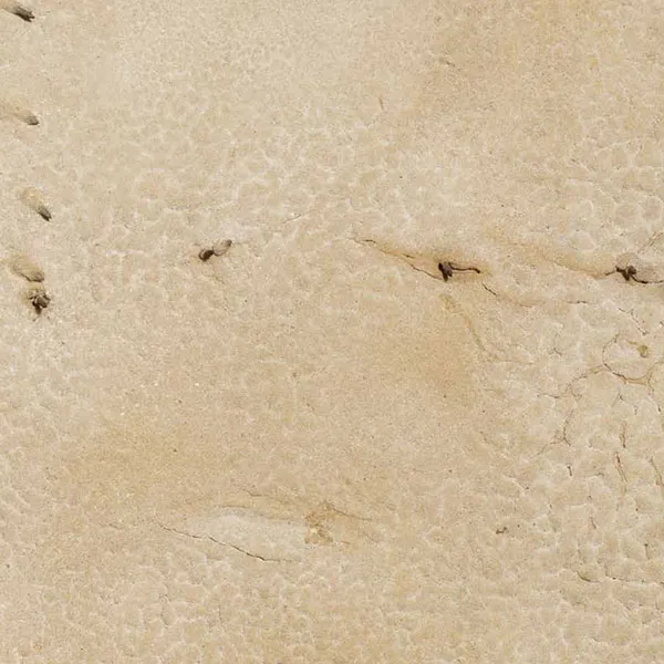 Diseño editorial. Catálogo para la exposición "Tàpies Today"